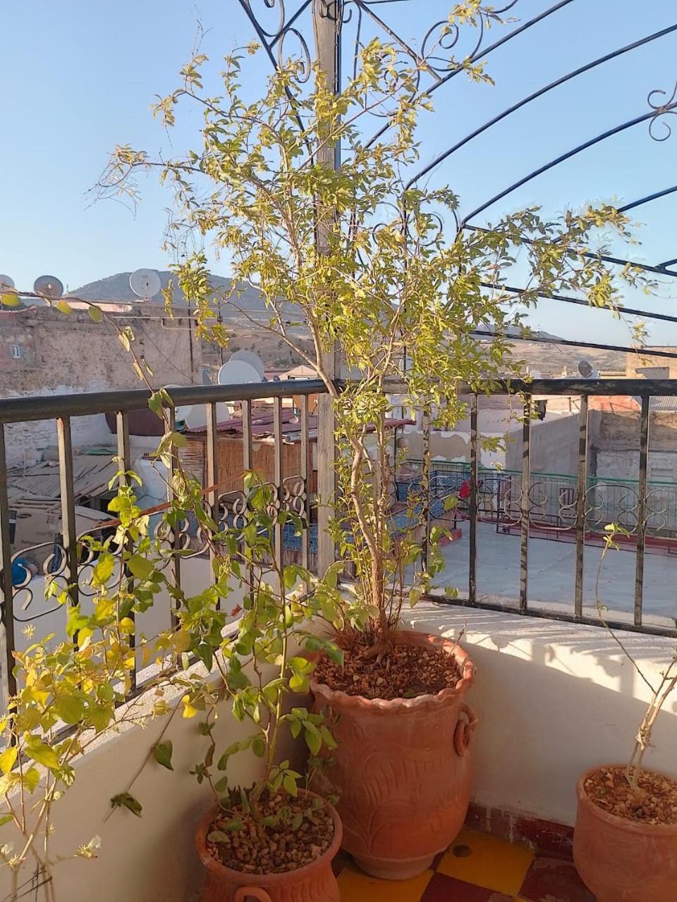 Riad Drissia Panoramic Fez Zewnętrze zdjęcie